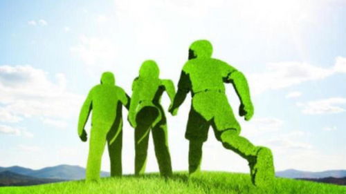 北清環能3.6億收購餐廚垃圾處理資產 溢價40倍背后的環保戰略與風險